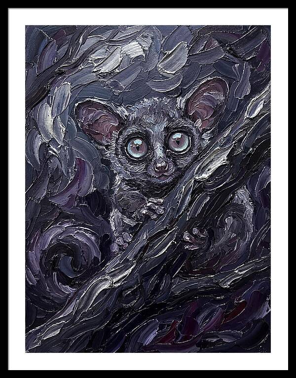 Bushbaby In The Shadows