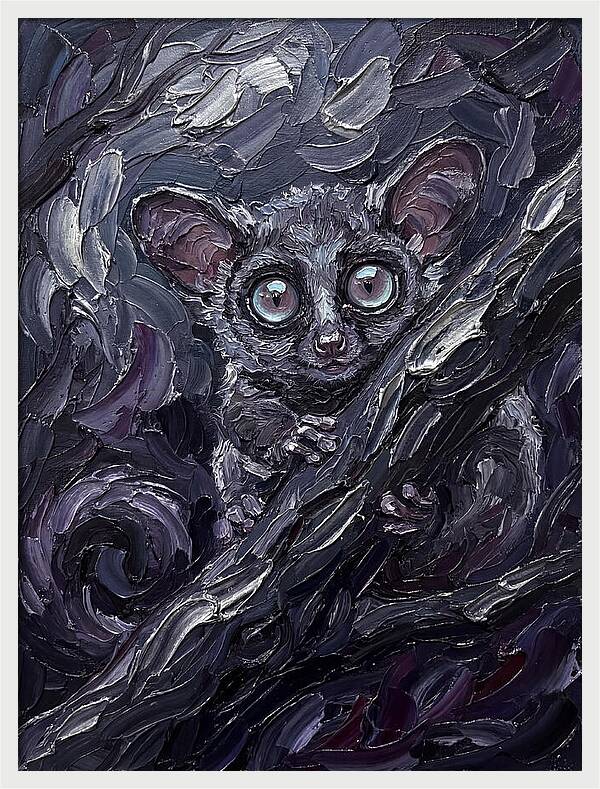 Bushbaby In The Shadows