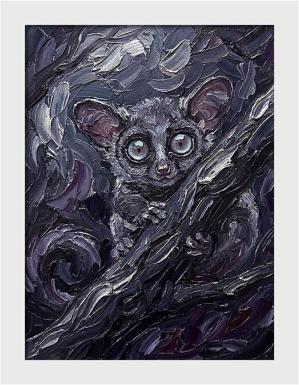 Bushbaby In The Shadows
