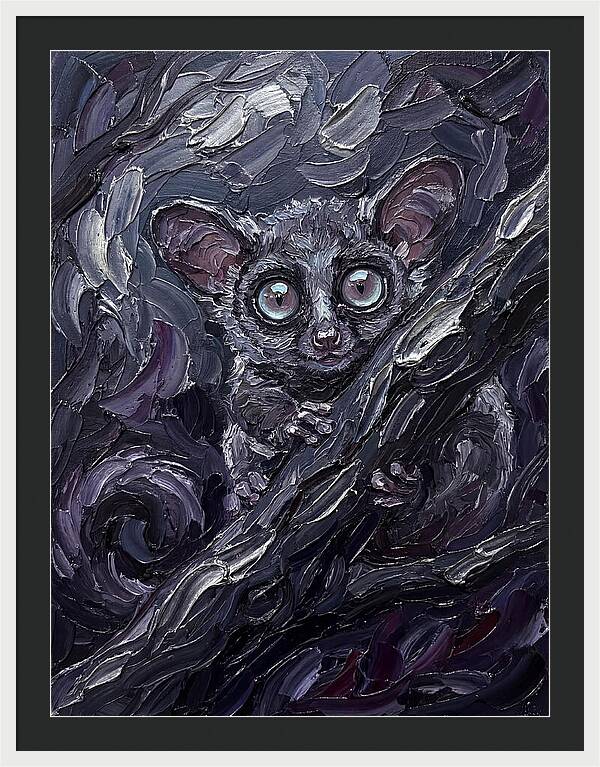 Bushbaby In The Shadows