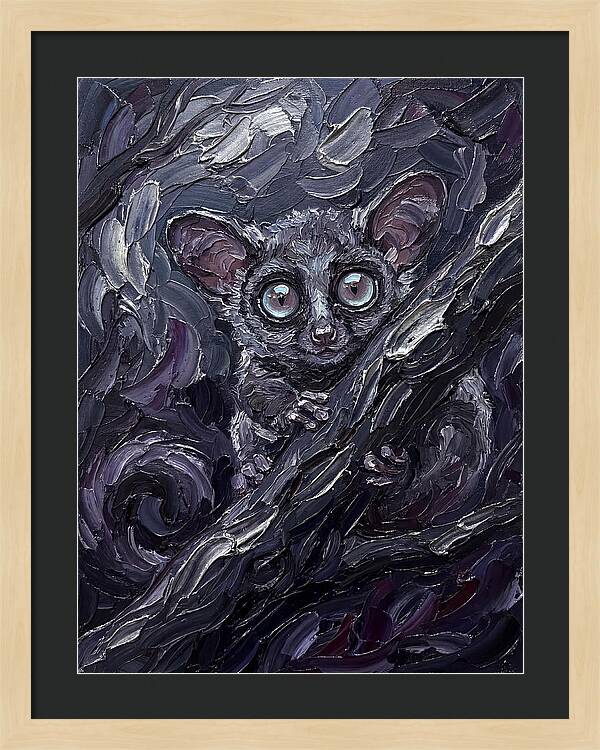 Bushbaby In The Shadows