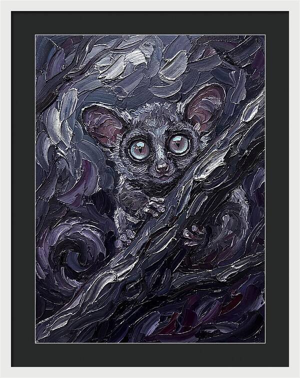 Bushbaby In The Shadows