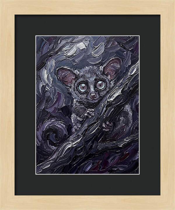 Bushbaby In The Shadows
