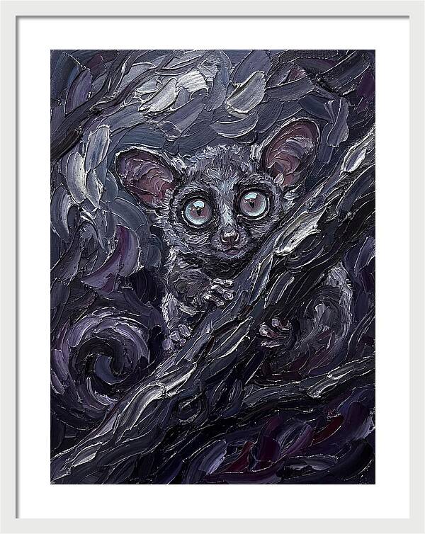 Bushbaby In The Shadows