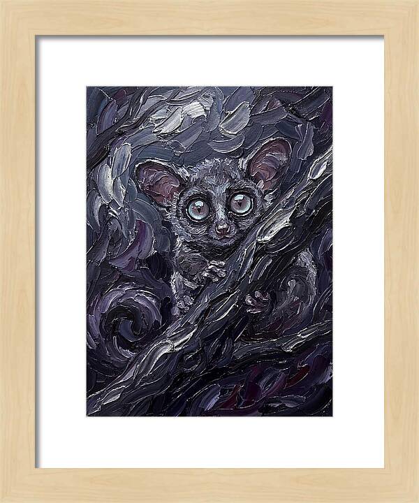 Bushbaby In The Shadows