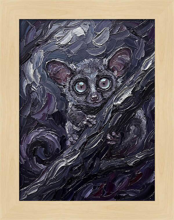 Bushbaby In The Shadows