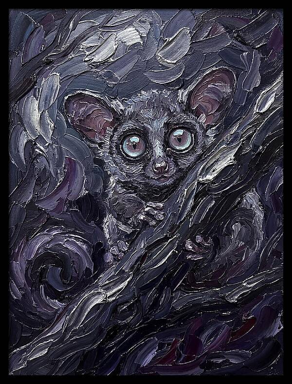 Bushbaby In The Shadows