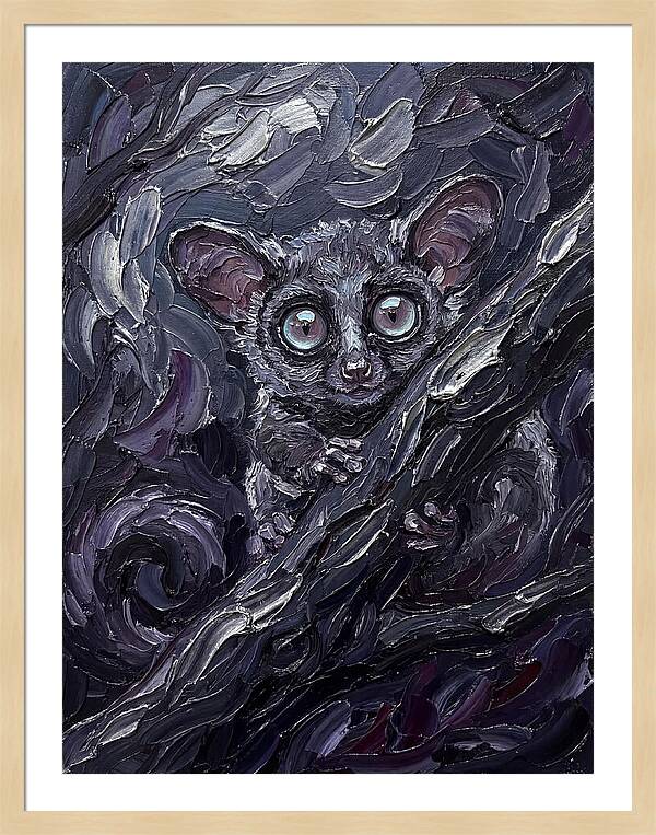 Bushbaby In The Shadows