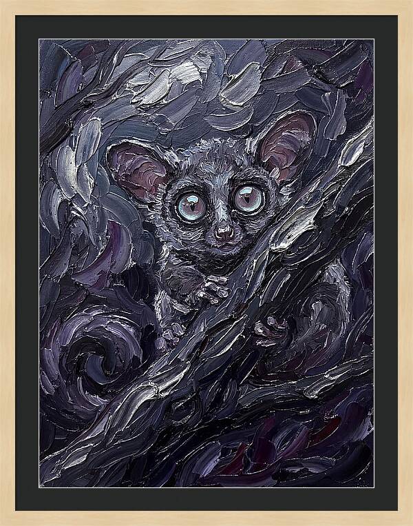 Bushbaby In The Shadows