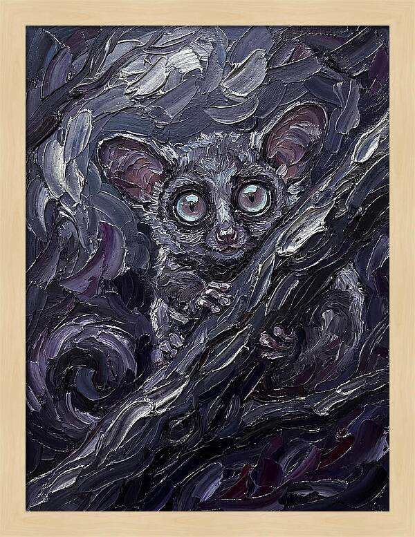 Bushbaby In The Shadows