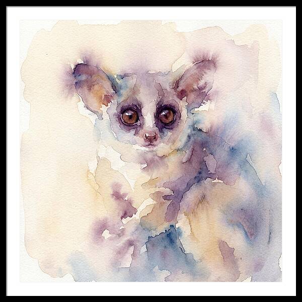 Bushbaby In Watercolor Hues