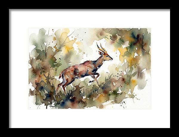 Bushbuck In Motion
