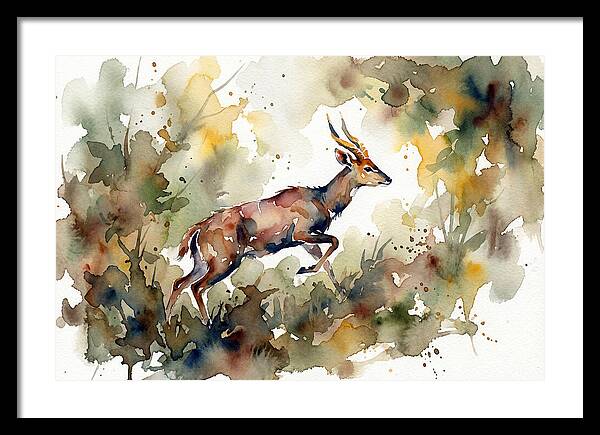 Bushbuck In Motion