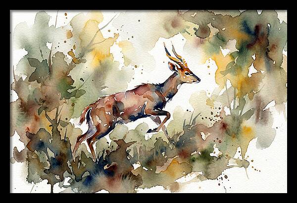 Bushbuck In Motion