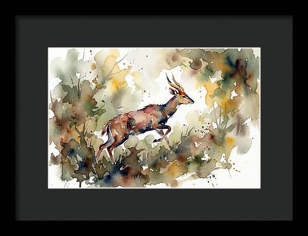 Bushbuck In Motion