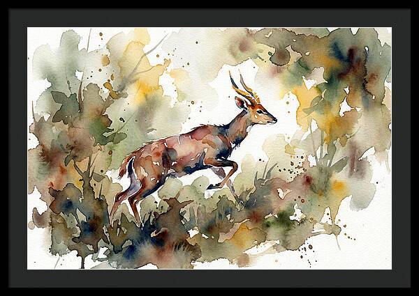 Bushbuck In Motion