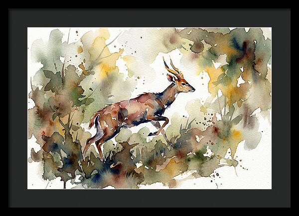 Bushbuck In Motion