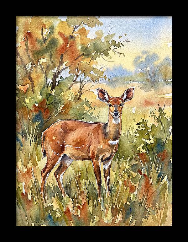 Bushbuck In Natural Habitat
