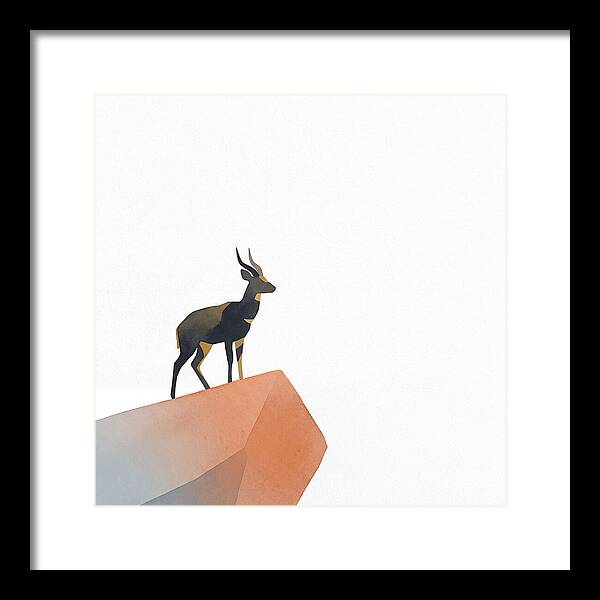 Bushbuck Standing Proudly