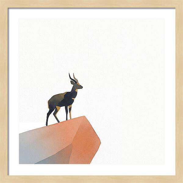Bushbuck Standing Proudly
