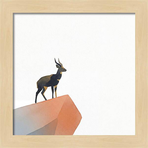 Bushbuck Standing Proudly