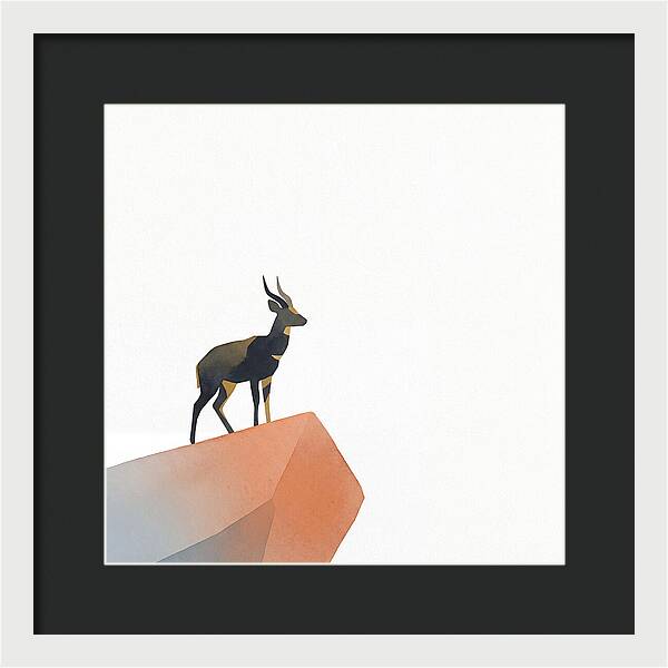 Bushbuck Standing Proudly