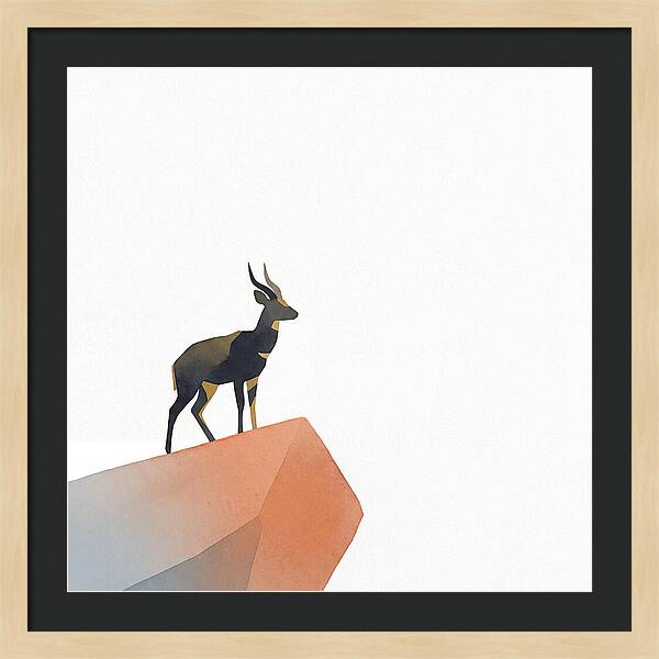Bushbuck Standing Proudly