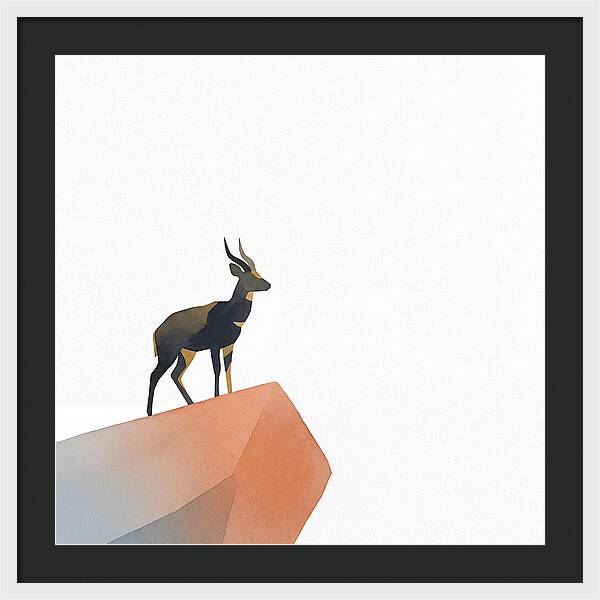 Bushbuck Standing Proudly