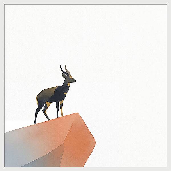 Bushbuck Standing Proudly