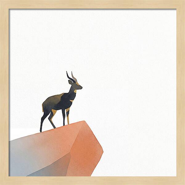 Bushbuck Standing Proudly
