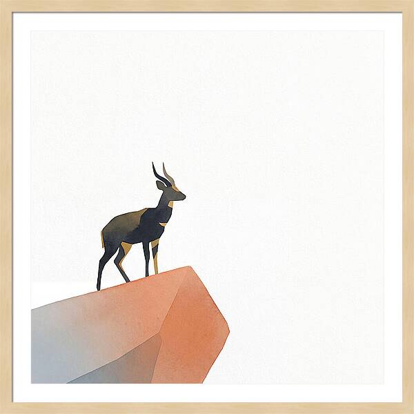 Bushbuck Standing Proudly