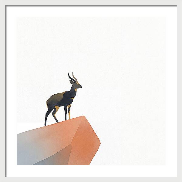 Bushbuck Standing Proudly