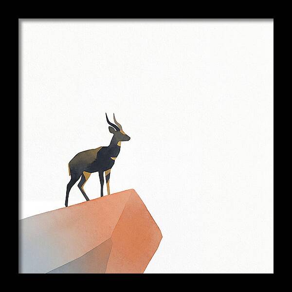 Bushbuck Standing Proudly