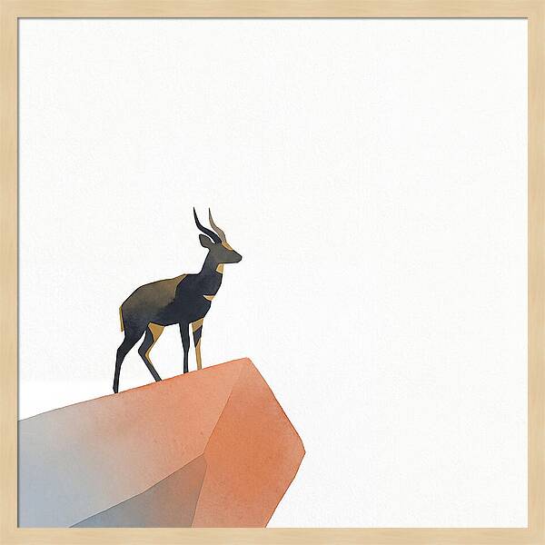Bushbuck Standing Proudly