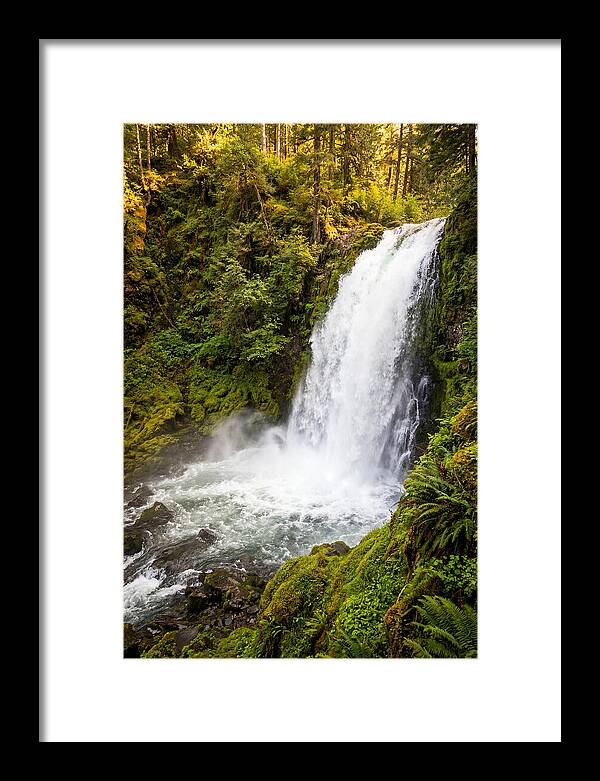 Bushkill Falls Serenity