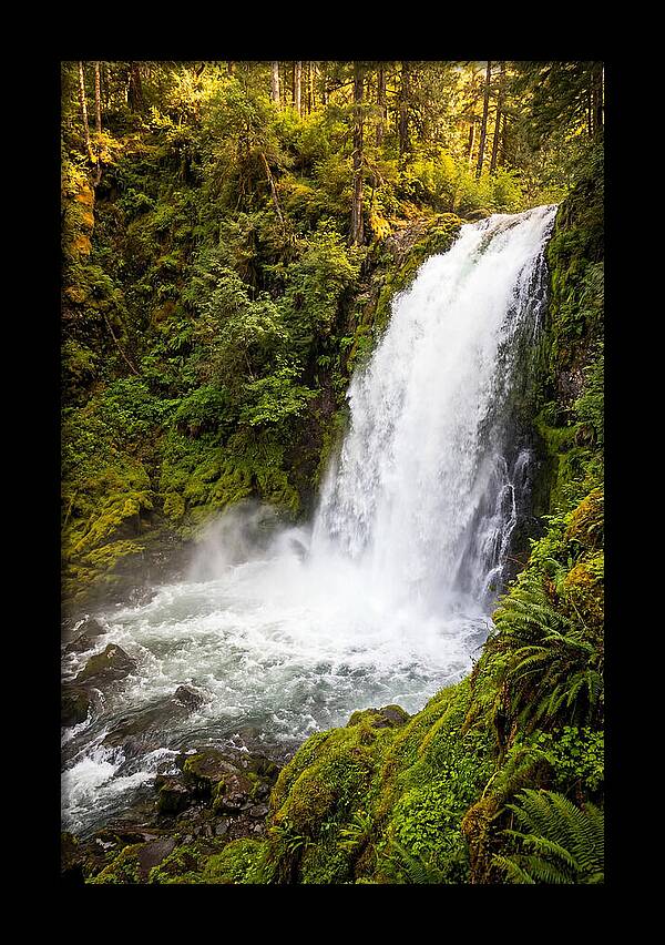 Bushkill Falls Serenity
