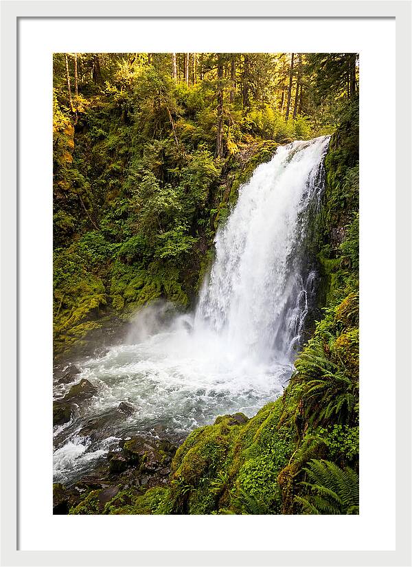 Bushkill Falls Serenity