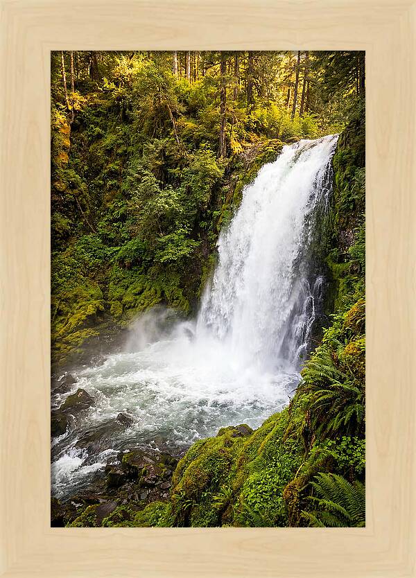 Bushkill Falls Serenity