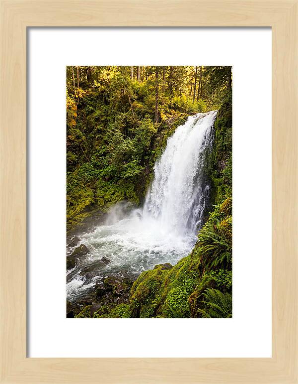 Bushkill Falls Serenity
