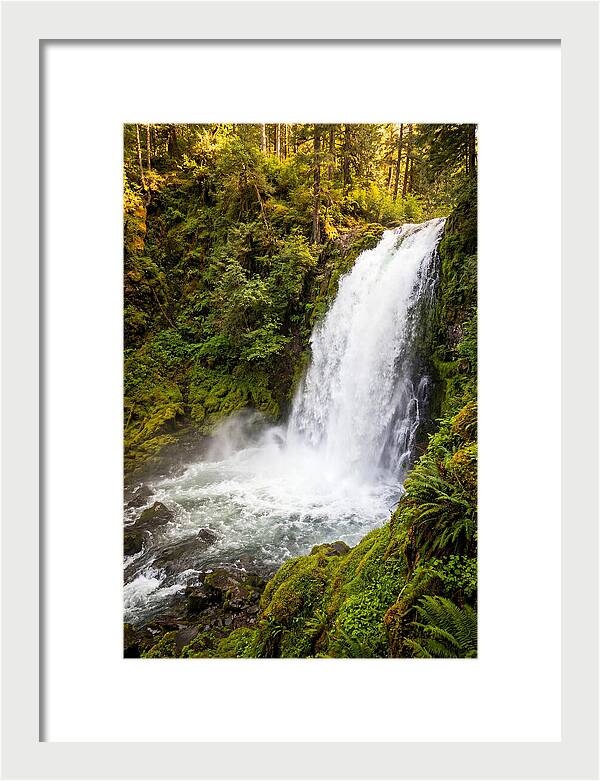 Bushkill Falls Serenity