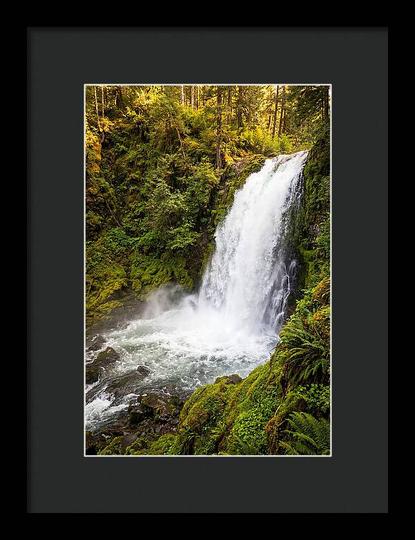 Bushkill Falls Serenity