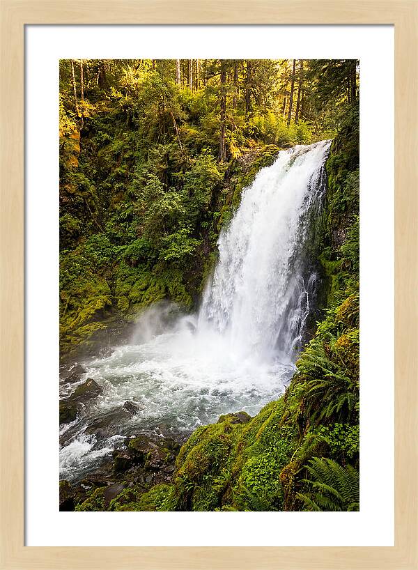 Bushkill Falls Serenity