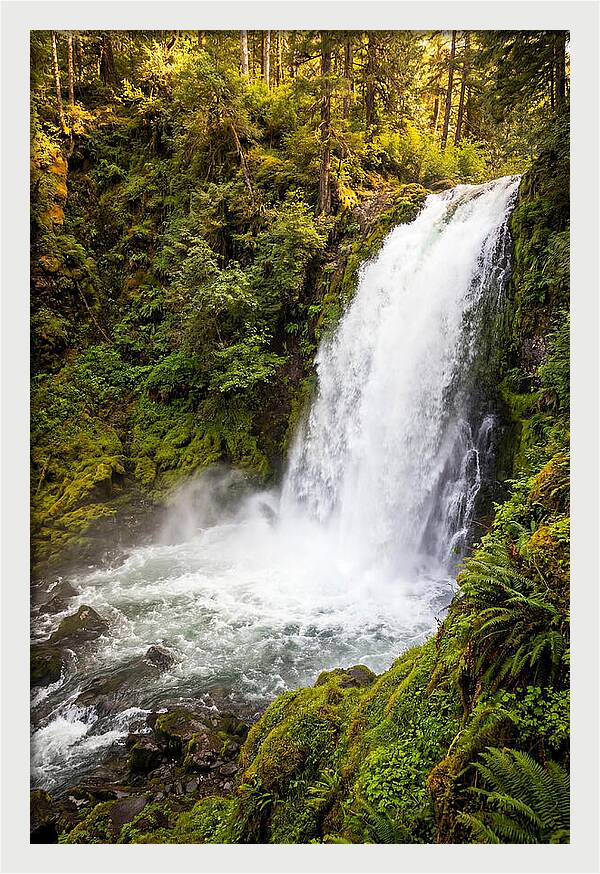 Bushkill Falls Serenity