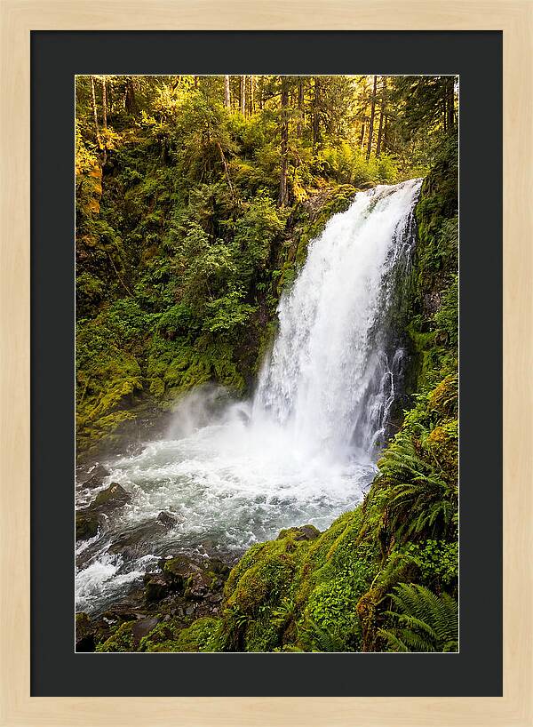 Bushkill Falls Serenity