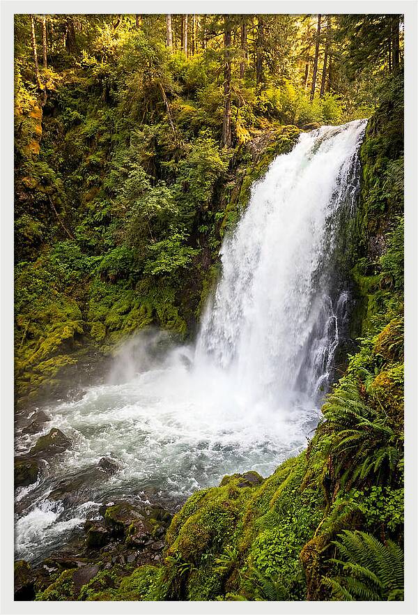 Bushkill Falls Serenity