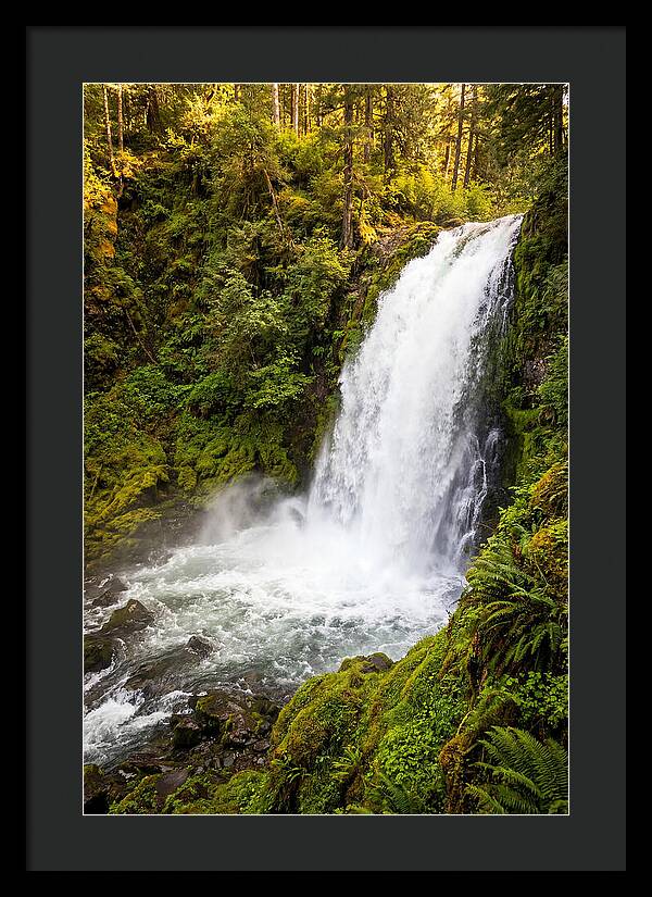 Bushkill Falls Serenity