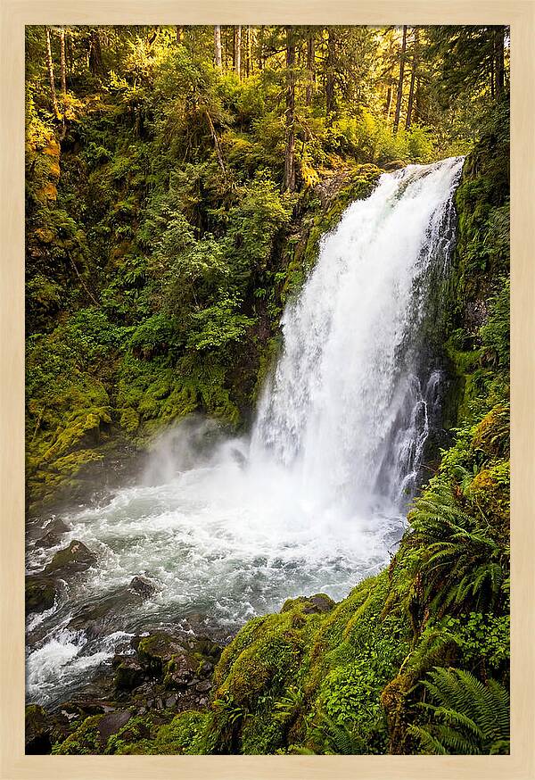 Bushkill Falls Serenity