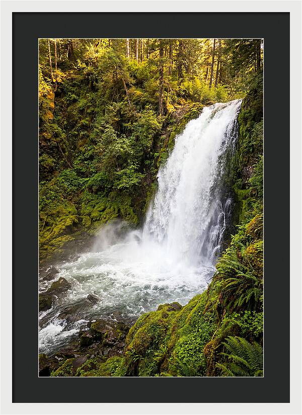 Bushkill Falls Serenity