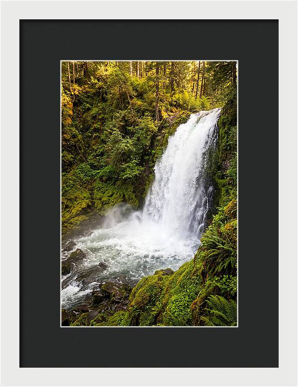 Bushkill Falls Serenity