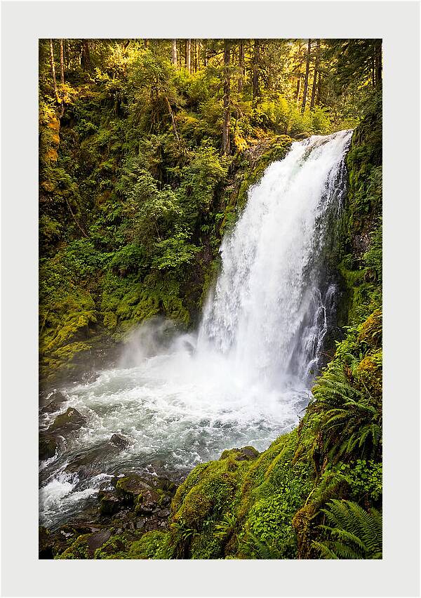 Bushkill Falls Serenity